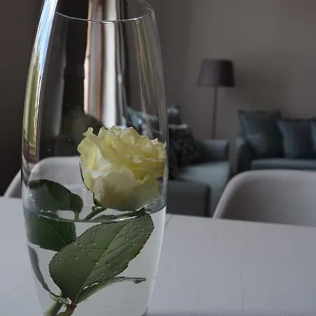 Apartament 156 * Όλστυν